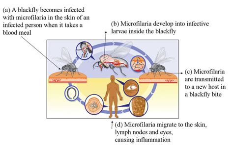 OLCreate: HEAT_CD_ET_1.0 Communicable Diseases Module: 37. Other Vector ...