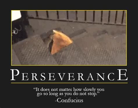 Perseverance | Pizza Rat | Know Your Meme