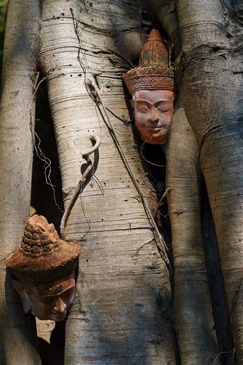 Head in tree stock photo. Image of tradition, wood, buddha - 29280028