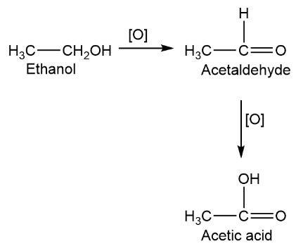 Explain about oxidation of primary alcohol, secondary alcohol, and ...