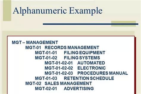 Alphanumeric characters: Functions, Examples and Everything You Need to Know