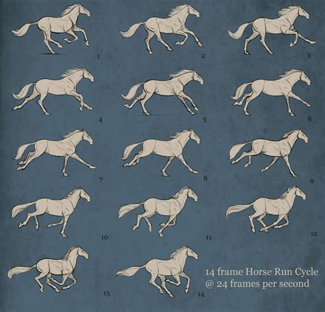 Animopus: Aaron Blaise: Horse Run Cycle Breakdown