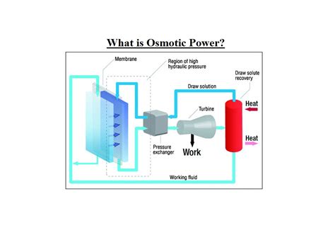 What is Osmotic Power? (2021 Full Guide) | Linquip