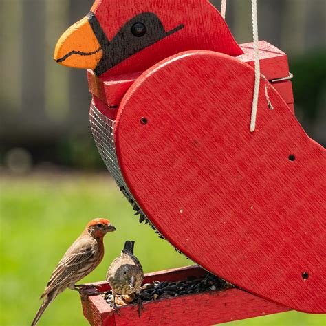 Cardinal-bird-feeder – UniqueBird.com