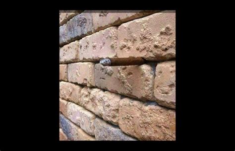 Brick Wall Illusion - The Awesomer