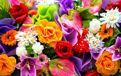 Colorful Flowers wallpaper | 1920x1200 | #78172