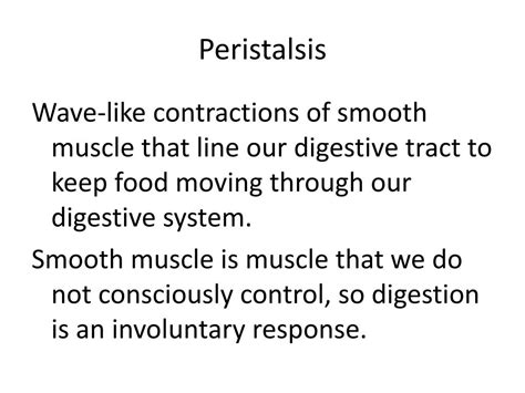 PPT - Digestive System PowerPoint Presentation, free download - ID:1448073