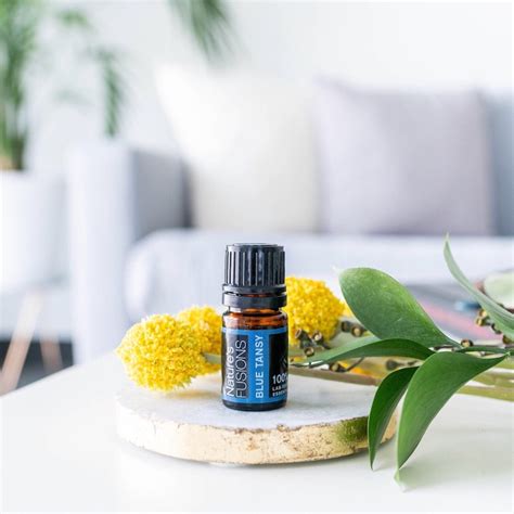 Blue Tansy Essential Oil 5ml or 15ml Tanacetum Annum 100% - Etsy