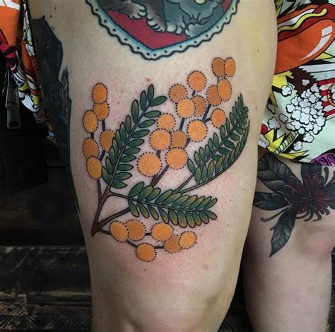 Native Australian wattle. James Venice - Melbourne. : r/tattoo