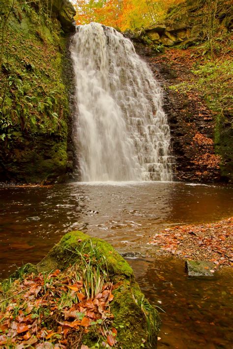 Visit Falling Foss Waterfall in Whitby | Expedia