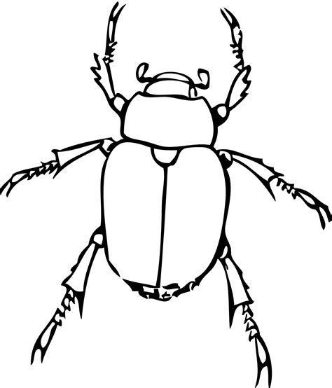 Insects Clipart Black And White