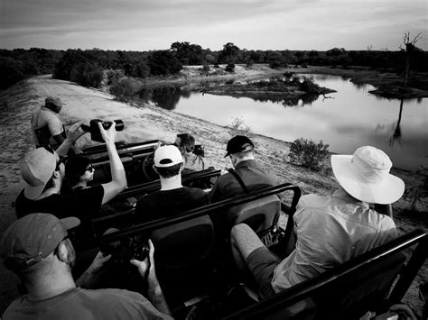 How to prepare for a safari or wildlife photography trip | Digital ...