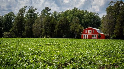 Indiana Farmland Increases in Value – Inside INdiana Business