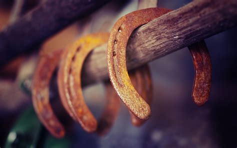 Horseshoe Full HD Wallpaper and Background Image | 1920x1200 | ID:405896