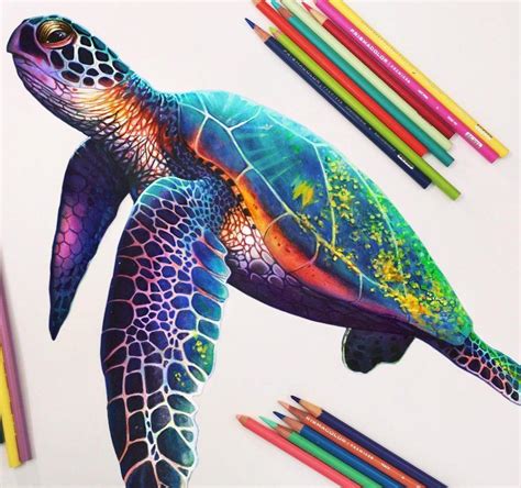 Colour Pen Drawing Ideas Finest Selection | dpise2022.dps.uminho.pt