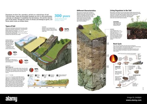 Permafrost soil Cut Out Stock Images & Pictures - Alamy