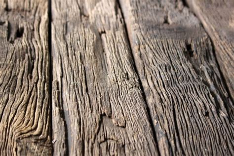 Rough Wood Texture Free Stock Photo - Public Domain Pictures