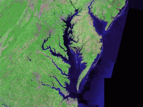 Larger-than-average summer 'dead zone' predicted for Chesapeake Bay in 2017