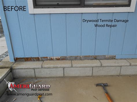 Pest, Termite, Gopher control in Temecula, Murrieta, Hemet, Moreno Valley: Drywood Termite ...