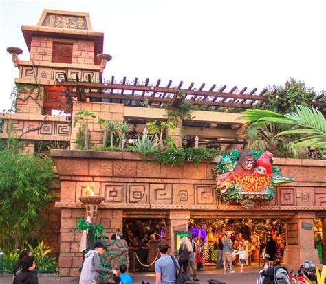 Rainforest Cafe at Downtown Disney expected to close this Sunday, June ...