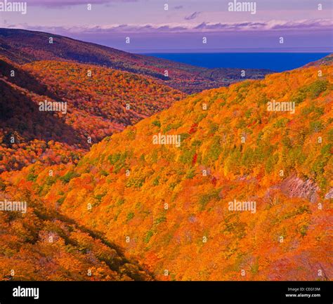 Fall at the Cabot Trail in Cape Breton Highlands National Park on Cape ...