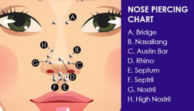 Nose Piercing Size Chart