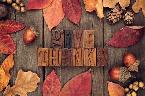 Thanksgiving – We are All Connected | Green Groundswell