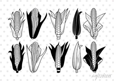 Corn svg, corn silhouette, food items svg, layered corn svg, posters ...