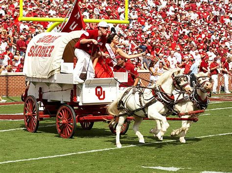 HD wallpaper: college, football, oklahoma, sooners | Wallpaper Flare