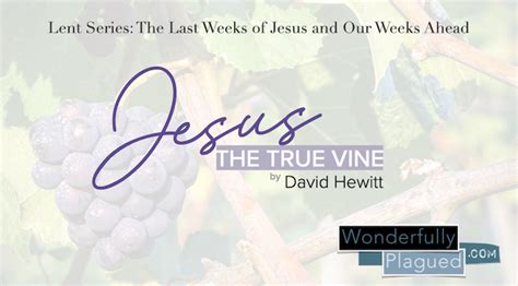 Jesus, the True Vine – Wonderfully Plagued