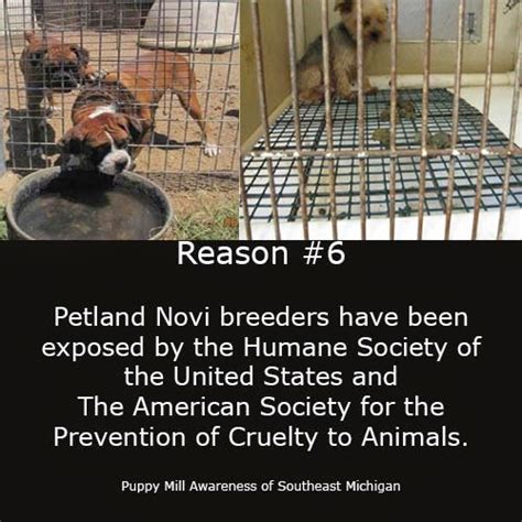 Puppy Mill Awareness Southeast Michigan: Top Ten Reasons Why Petland Is Michigan's Worst Pet Store