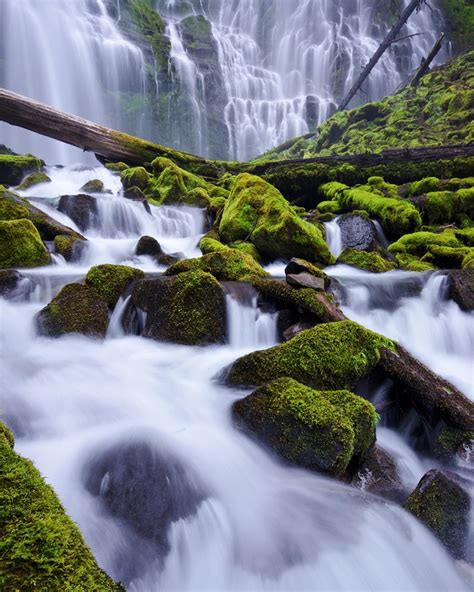 Proxy Falls, Cascade Mountains in Oregon | Image by Jeff Swanson | Beautiful waterfalls ...