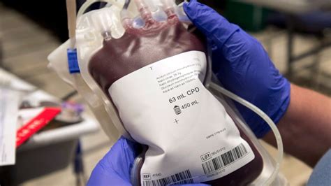 Jehovah's Witness, 14, ordered to receive blood transfusion despite beliefs - Montreal - CBC News