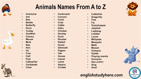 1000 Animals Names From A to Z in English - English Study Here