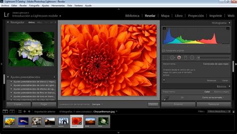 Adobe Photoshop Lightroom CC 7.0 - Download for PC Free