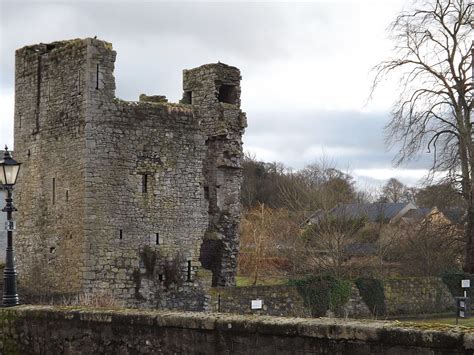 Leighlinbridge Castle, County Carlow, Ireland | Castle, County carlow, Carlow