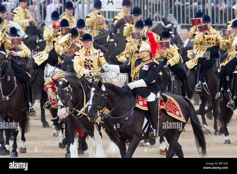 Mounted Bands of the Household Cavalry. "Trooping the Colour" 2010 ...