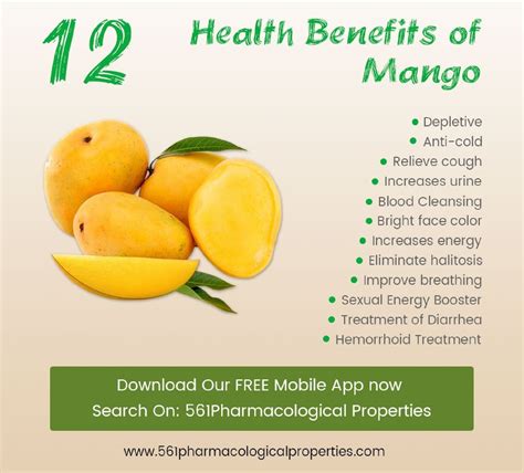 Calaméo - Mango Health Benefits and Side Effects