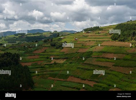 Mountains of western Uganda, Africa Stock Photo - Alamy