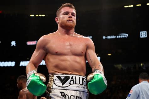 Canelo Alvarez next fight: Mexican has mandatory U-turn from IBF ...