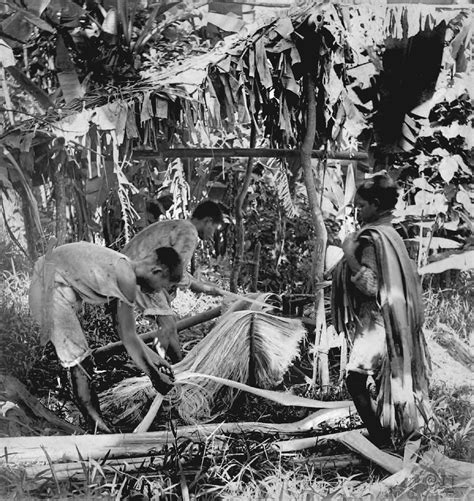 Stripping Manila hemp to produce fiber for making Manila r… | Flickr