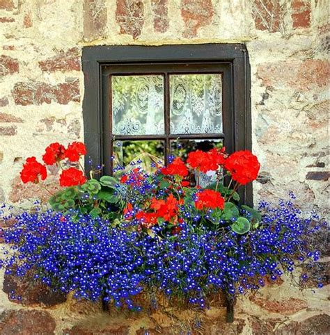 32 Appealing Cascading Flowers for Window Boxes