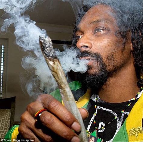 These celebrities are cashing in on cannabis - Cannabis News Box