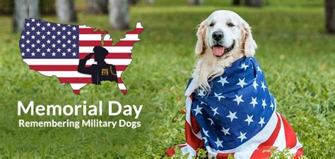 Memorial Day: Remembering Military Dogs