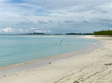 Green Turtle Cay, Abaco Islands | Green turtle, Outdoor, Beach