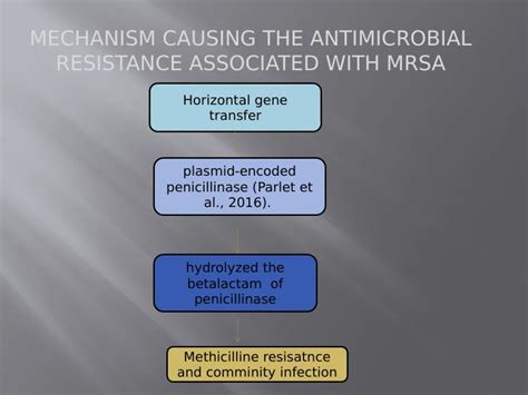 Microbiology of MRSA: Structure, Virulence Factors, Antimicrobial ...