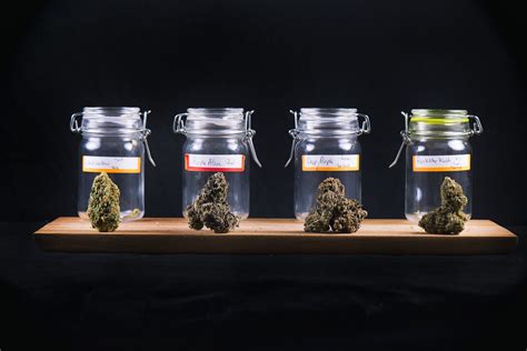 The 5 Essential Tips on How to Choose the Best Marijuana Dispensary ...