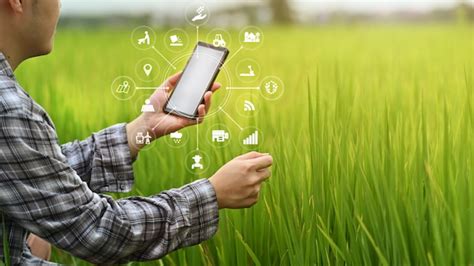 Premium Photo | Agriculture technology farmer man using smartphone ...