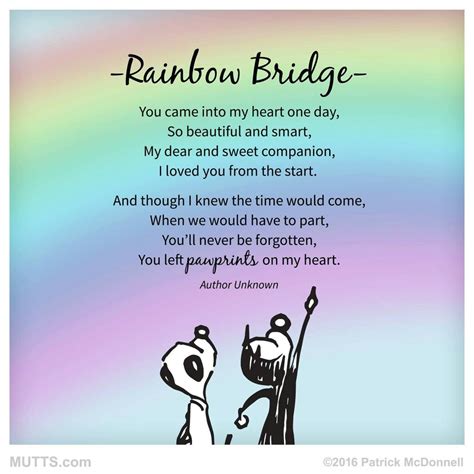 dogs rainbow bridge quotes - Valery Koch