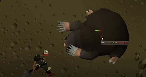 Giant mole guide osrs